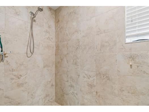 994 Celtic Circle Tarpon Springs FL 34689 W7886108 image36