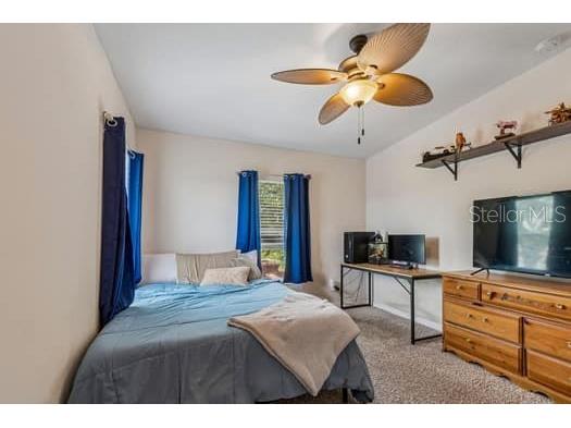 994 Celtic Circle Tarpon Springs FL 34689 W7886108 image37