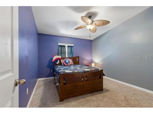 994 Celtic Circle Tarpon Springs FL 34689 W7886108 image40
