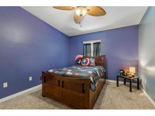 994 Celtic Circle Tarpon Springs FL 34689 W7886108 image43