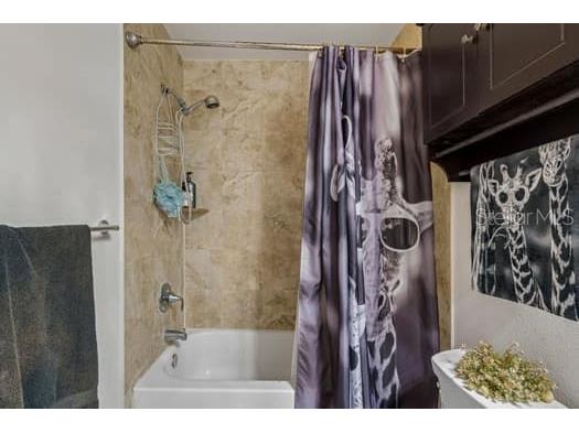 994 Celtic Circle Tarpon Springs FL 34689 W7886108 image46