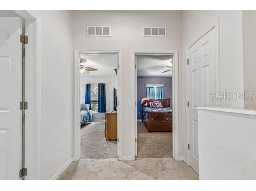 994 Celtic Circle Tarpon Springs FL 34689 W7886108 image50