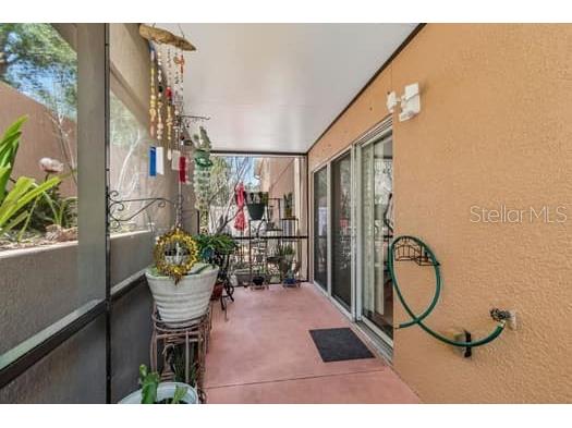 994 Celtic Circle Tarpon Springs FL 34689 W7886108 image54