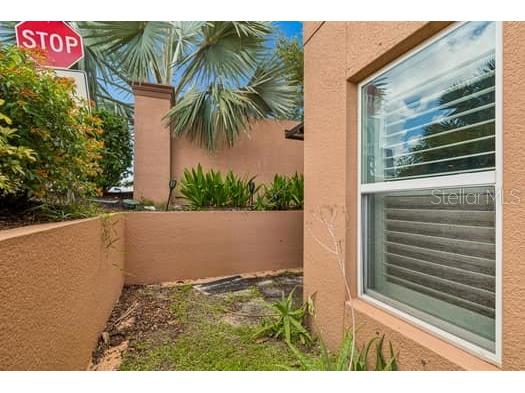 994 Celtic Circle Tarpon Springs FL 34689 W7886108 image55