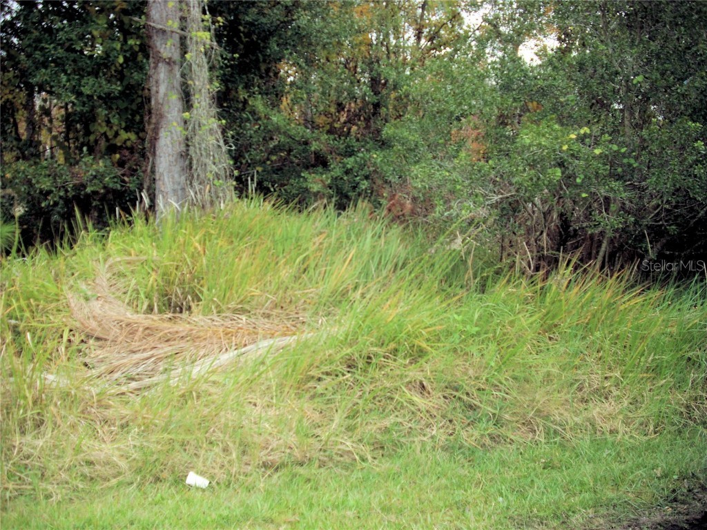 994 Derbyshire Drive Kissimmee FL 34758 S5078823 image1