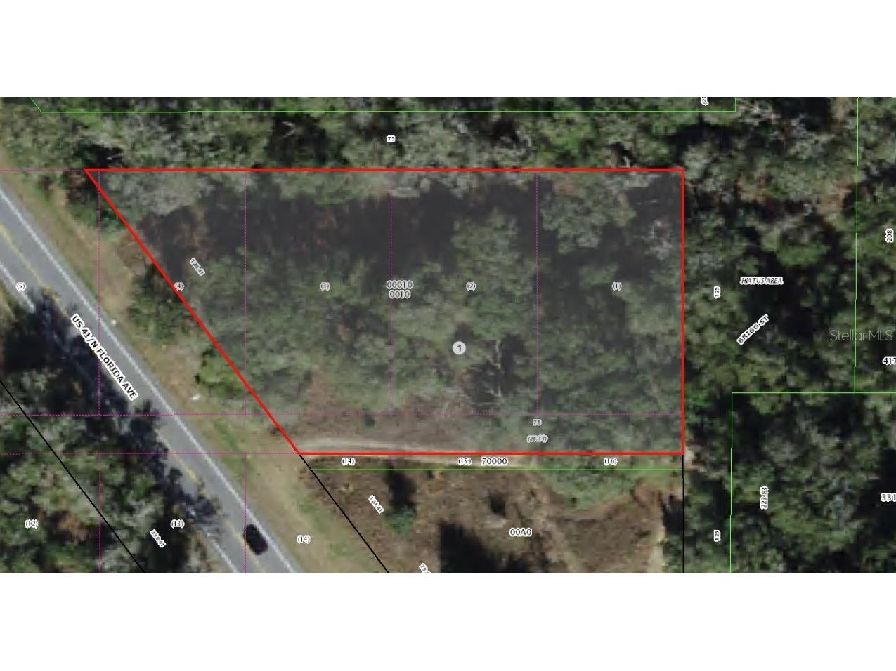 994 E Keighley Lane Holder FL 34445 W7872694 image6