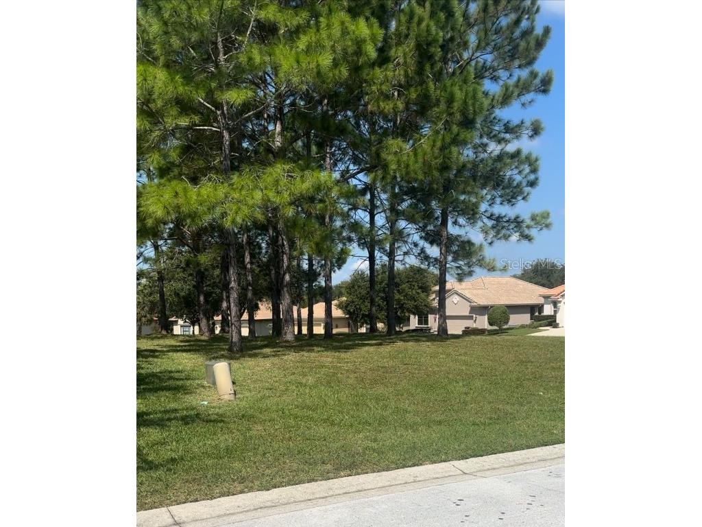 994 W Silver Meadow Loop Hernando FL 34442 O6226538 image1