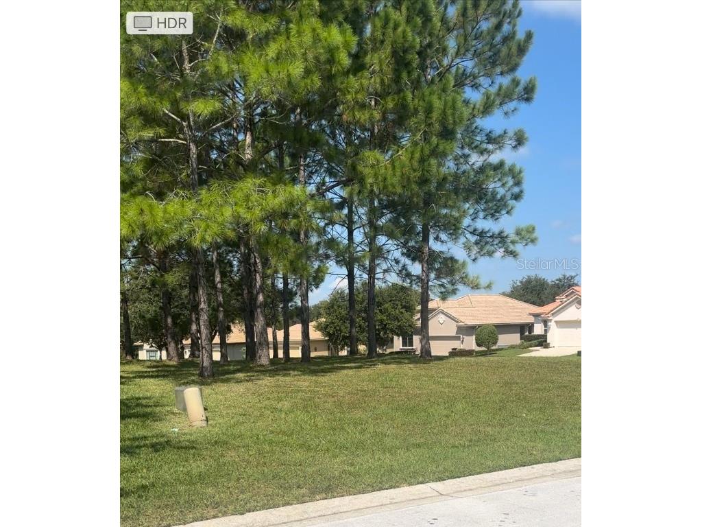 994 W Silver Meadow Loop Hernando FL 34442 O6226538 image2