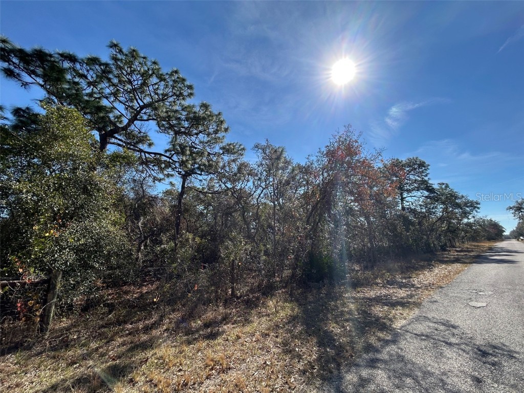 9940 Black Bear Lane Winter Garden FL 34787 O6309917 image6