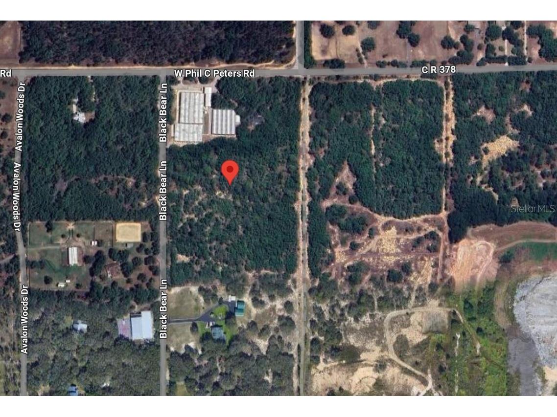 9940 Black Bear Lane Winter Garden FL 34787 O6309917 image7