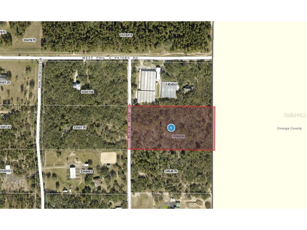 9940 Black Bear Lane Winter Garden FL 34787 O6309917 image8
