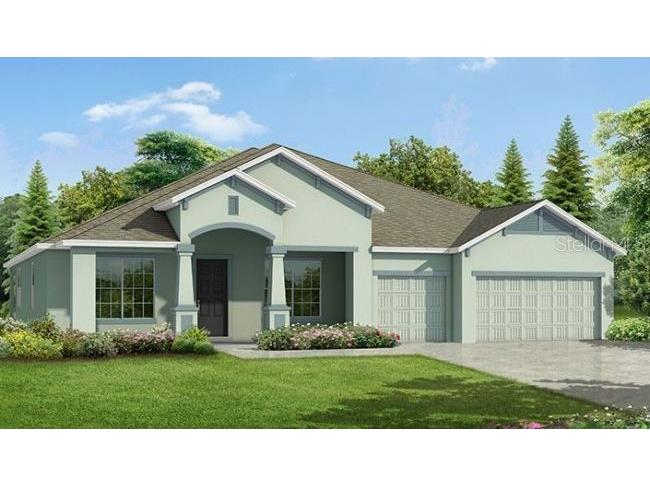 9940 Dolphin Gull Circle Thonotosassa FL 33592 O6064696 image1