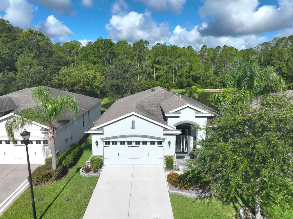 9941 Saunton Drive San Antonio FL 33576 TB8411320 image1