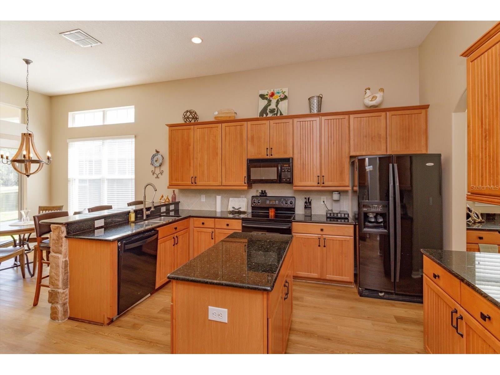 9942 Sweetleaf Street Orlando FL 32827 O6309501 image14