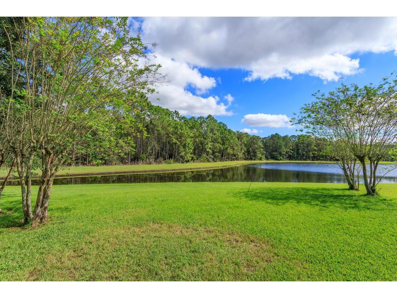 9942 Sweetleaf Street Orlando FL 32827 O6309501 image36