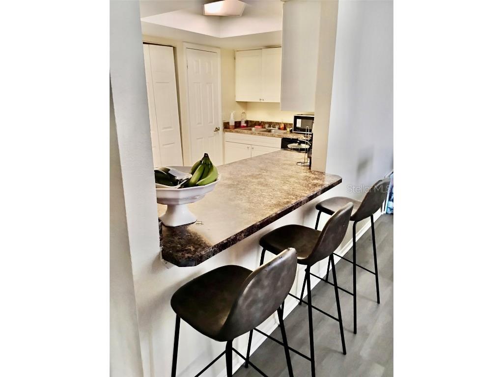 9942 Turf Way #7 Orlando FL 32837 S5137146 image6