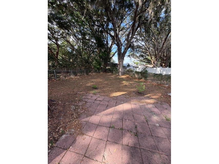 9943 Burl Way Orlando FL 32817 O6403406 image35