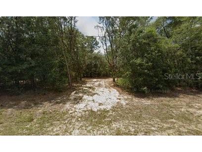 9944 N Wayland Avenue Citrus Springs FL 34434 P4932068 image1