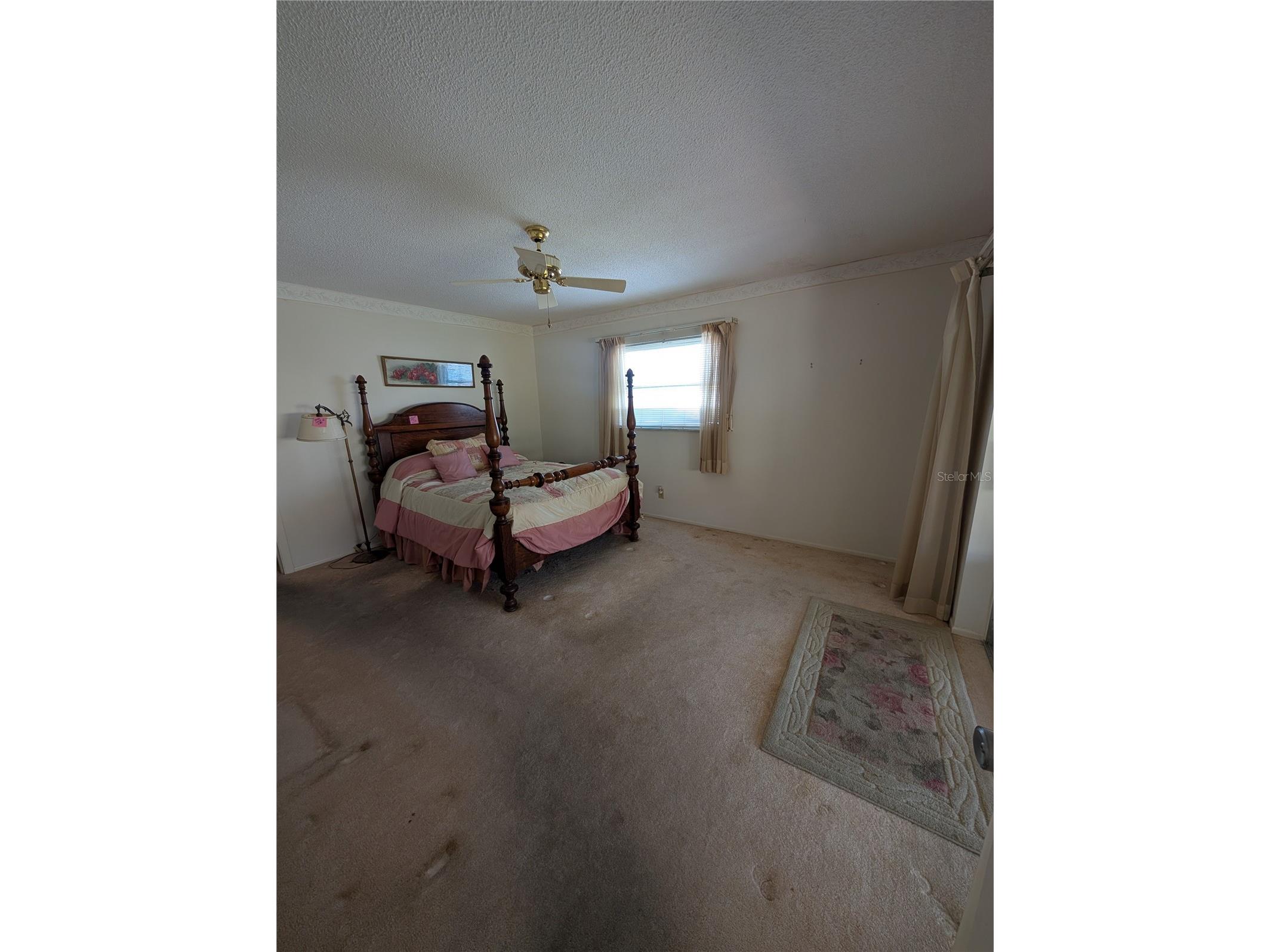 9946 39th Way N Pinellas Park FL 33782 TB8465997 image30