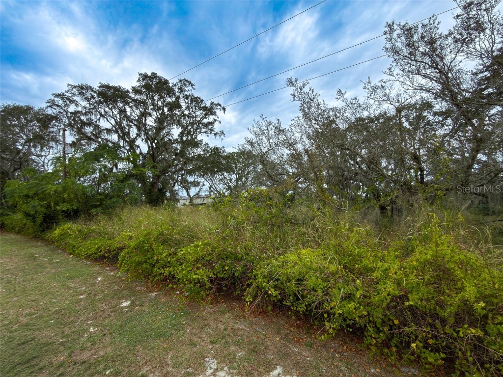 9947 Cowley Road Riverview FL 33578 TB8458113 image10