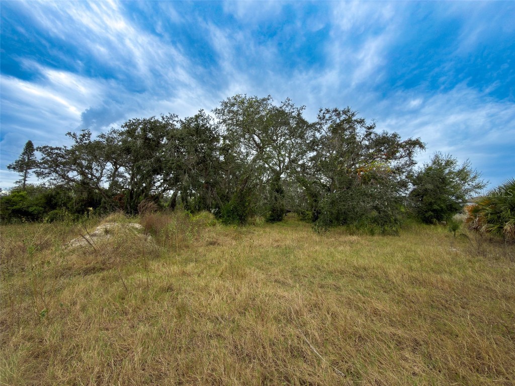 9947 Cowley Road Riverview FL 33578 TB8458113 image4