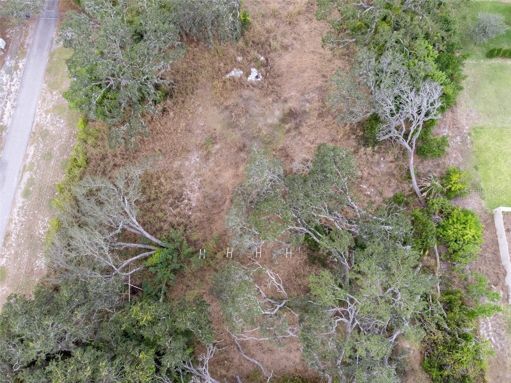 9947 Cowley Road Riverview FL 33578 TB8458113 image6