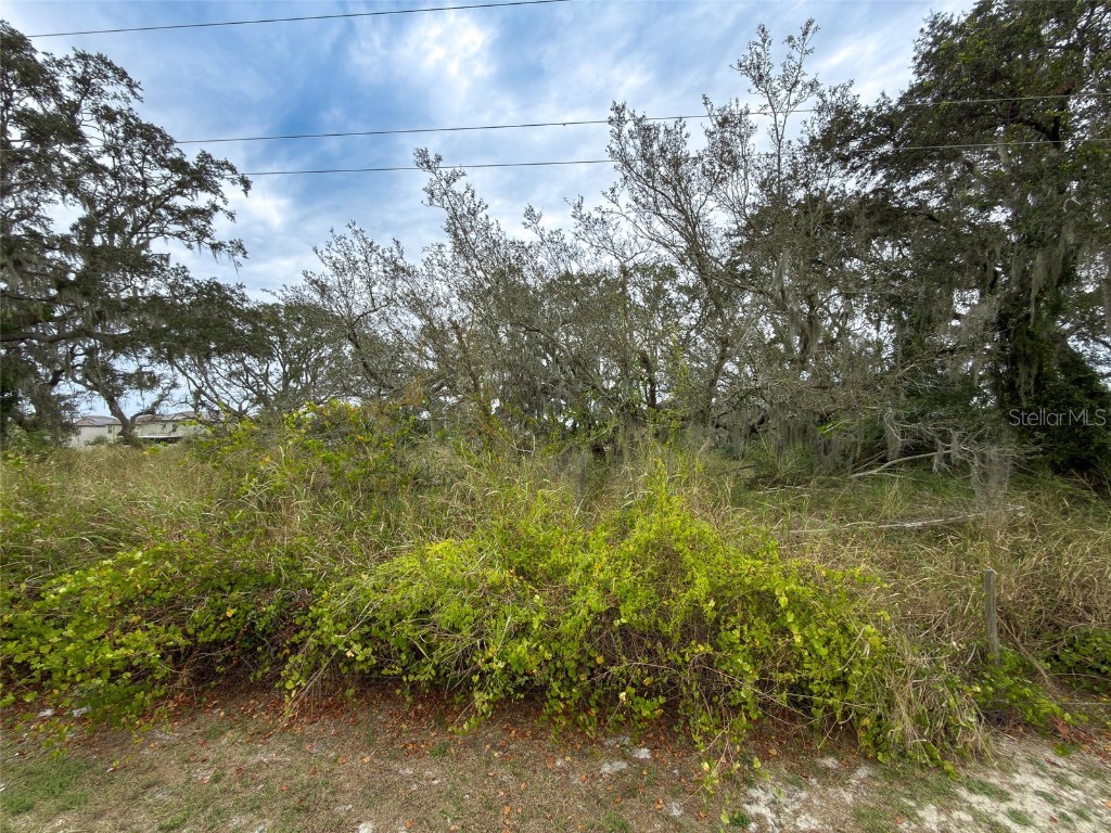 9947 Cowley Road Riverview FL 33578 TB8458113 image9