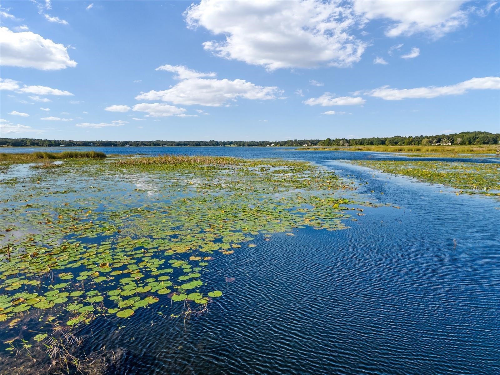 9947 SE 117th Street Road Belleview FL 34420 - Smith Lake OM722912 image39
