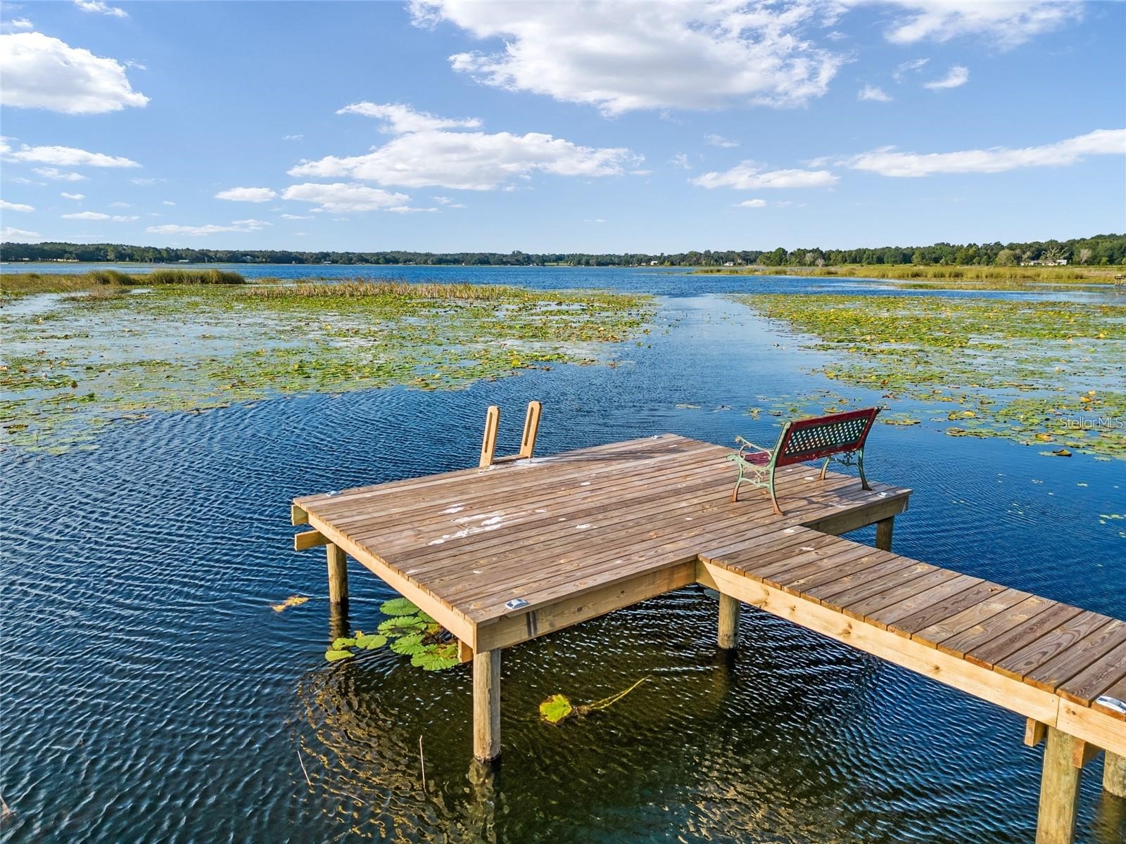 9947 SE 117th Street Road Belleview FL 34420 - Smith Lake OM722912 image40