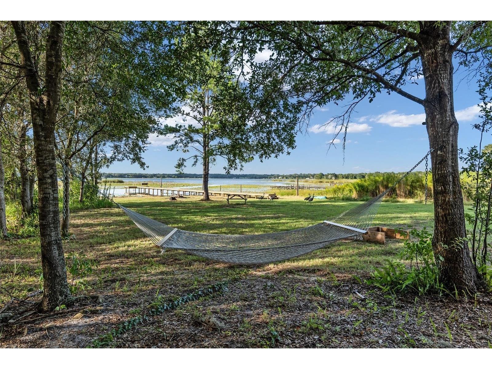 9947 SE 117th Street Road Belleview FL 34420 - Smith Lake OM722912 image9