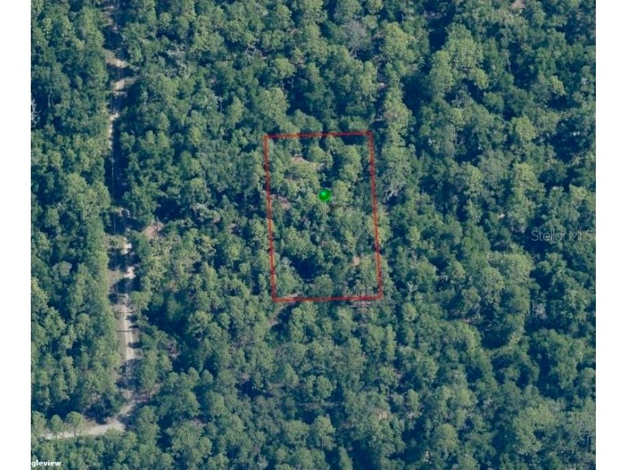 9947 W Tangelo Drive Crystal River FL 34428 W7886300 image1