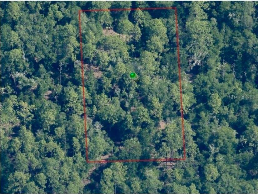 9947 W Tangelo Drive Crystal River FL 34428 W7886300 image2