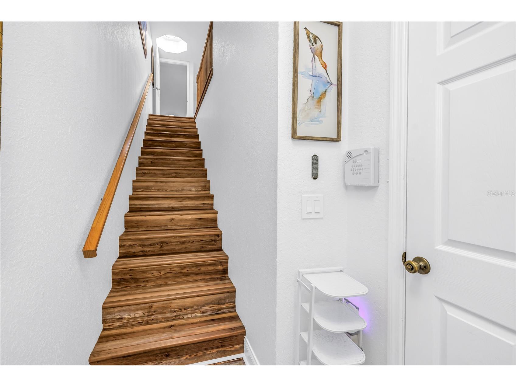 9948 Indian Key Trail #17 Seminole FL 33776 TB8482898 image5
