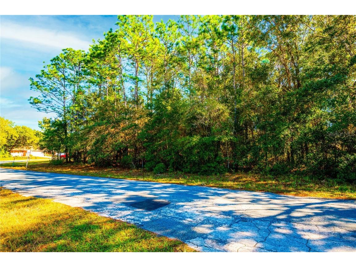 9948 N Sandree Drive Citrus Springs FL 34434 T3419080 image1