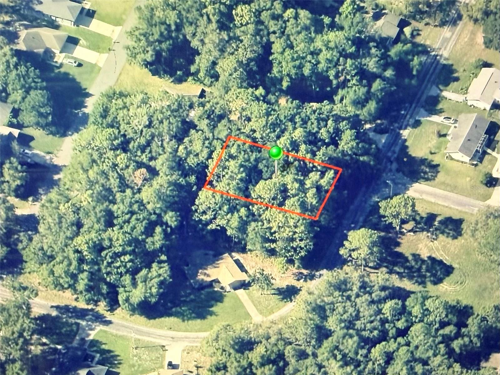 9948 N Sandree Drive Citrus Springs FL 34434 OM721001 image1