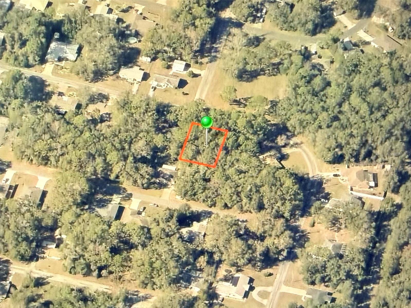 9948 N Sandree Drive Citrus Springs FL 34434 OM721001 image2