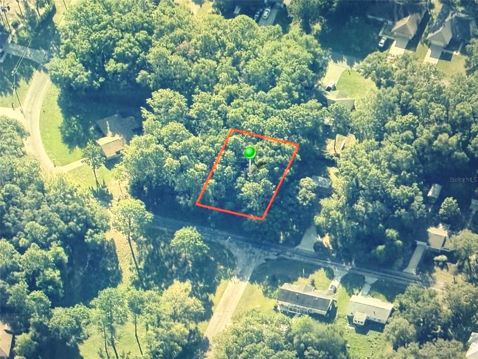 9948 N Sandree Drive Citrus Springs FL 34434 OM721001 image3