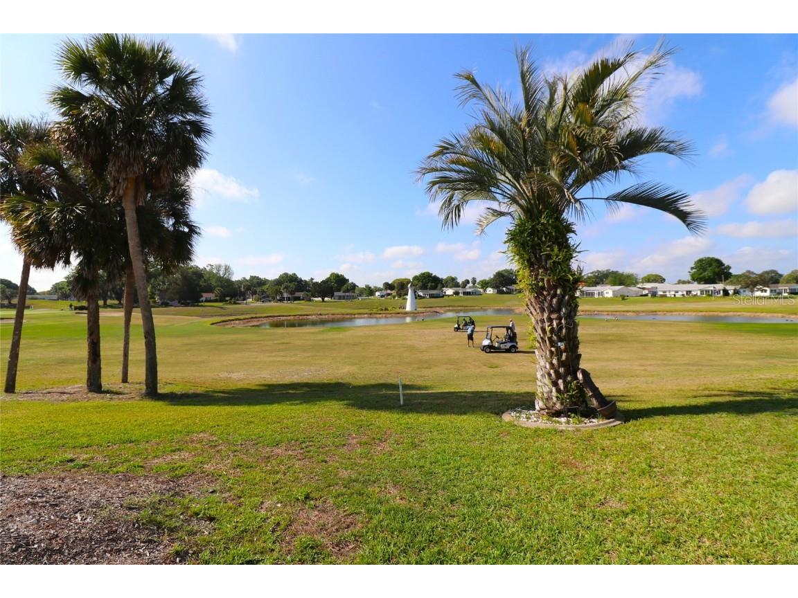 9948 SE 175th Place Summerfield FL 34491 G5094985 image46