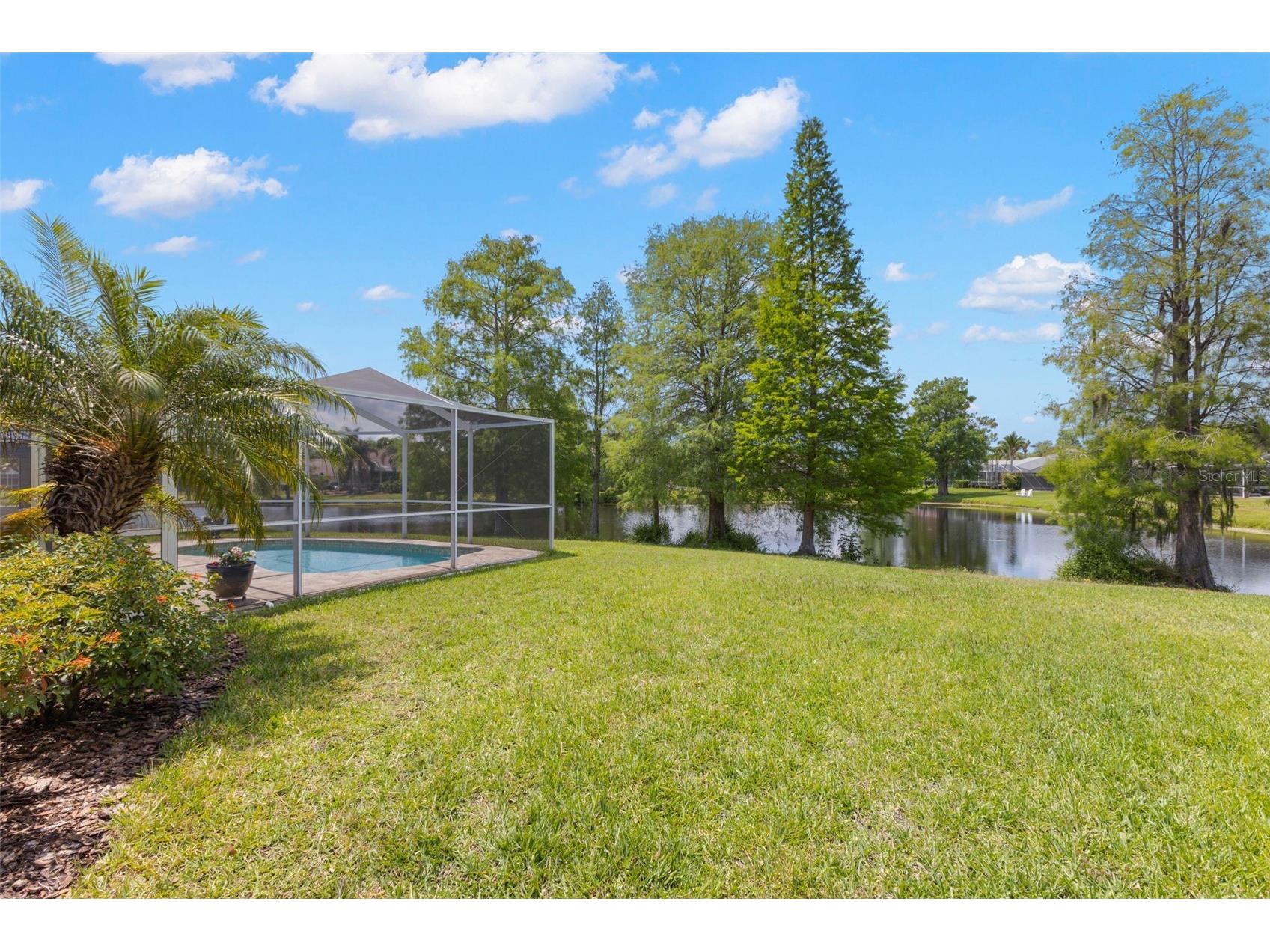 9948 Stockbridge Drive Tampa FL 33626 TB8503318 image15