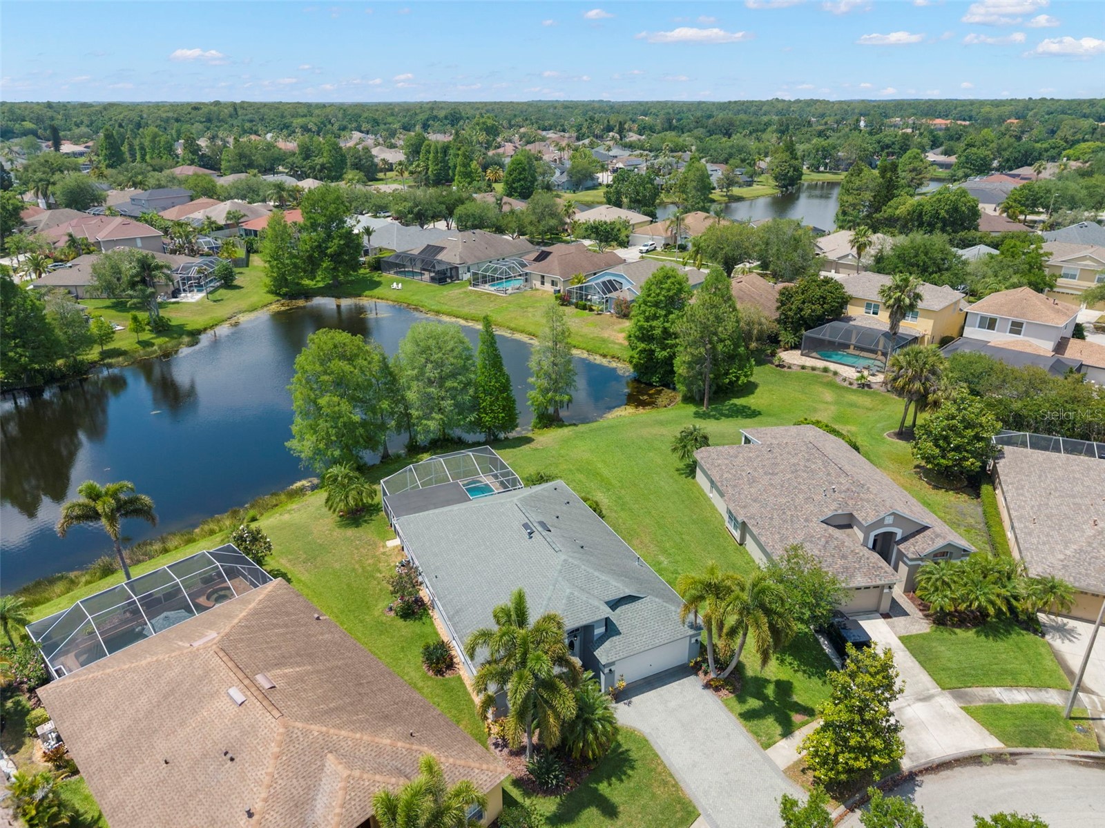 9948 Stockbridge Drive Tampa FL 33626 TB8503318 image26