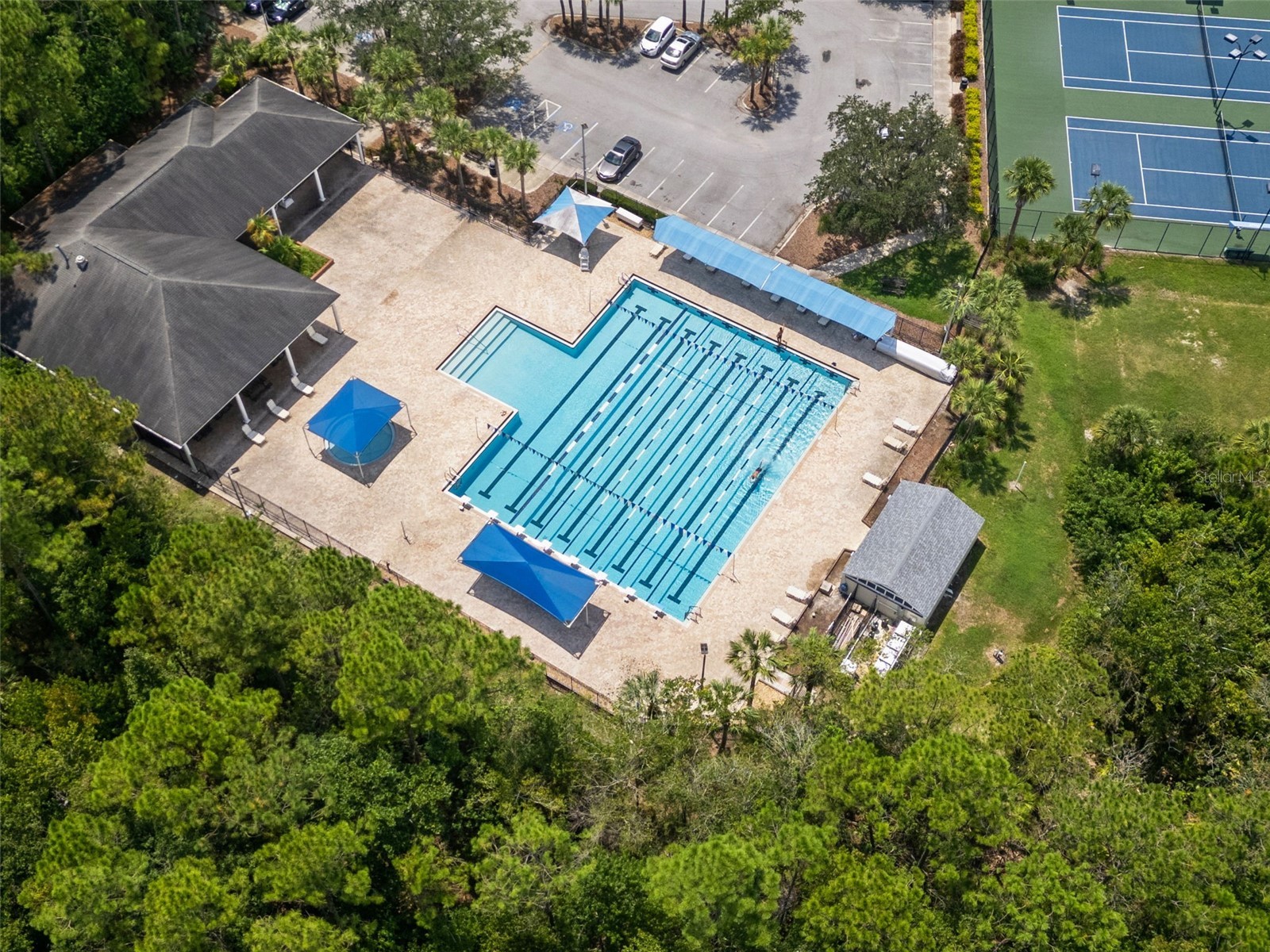 9948 Stockbridge Drive Tampa FL 33626 TB8503318 image34