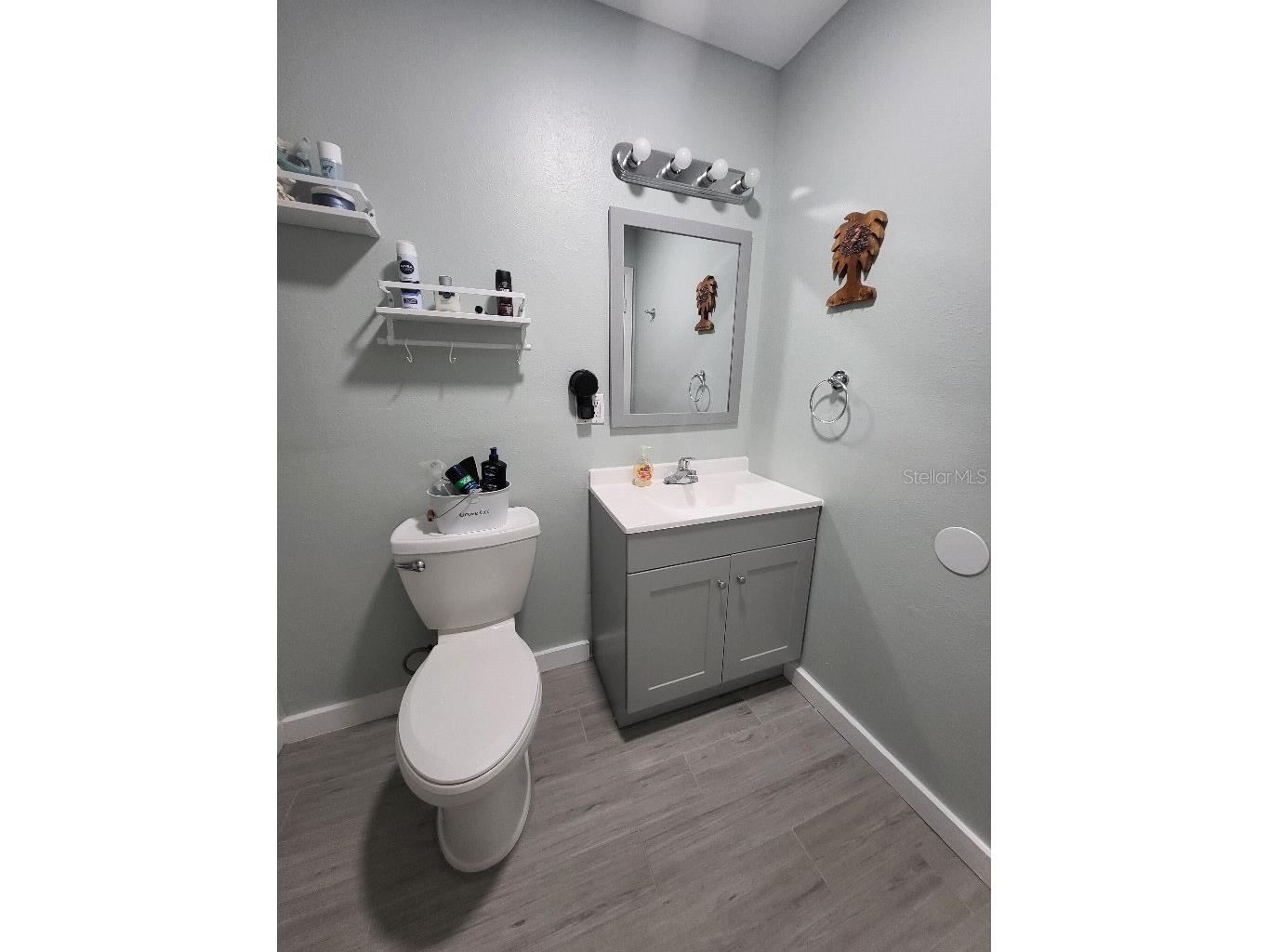 995 Emerald Drive Mount Dora FL 32757 TB8481533 image22