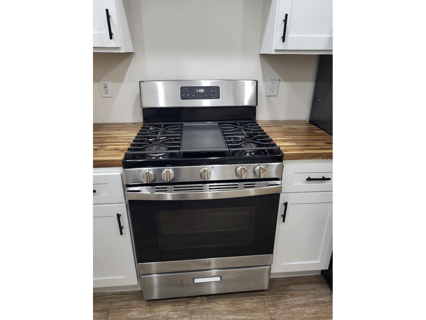 995 Emerald Drive Mount Dora FL 32757 TB8481533 image30
