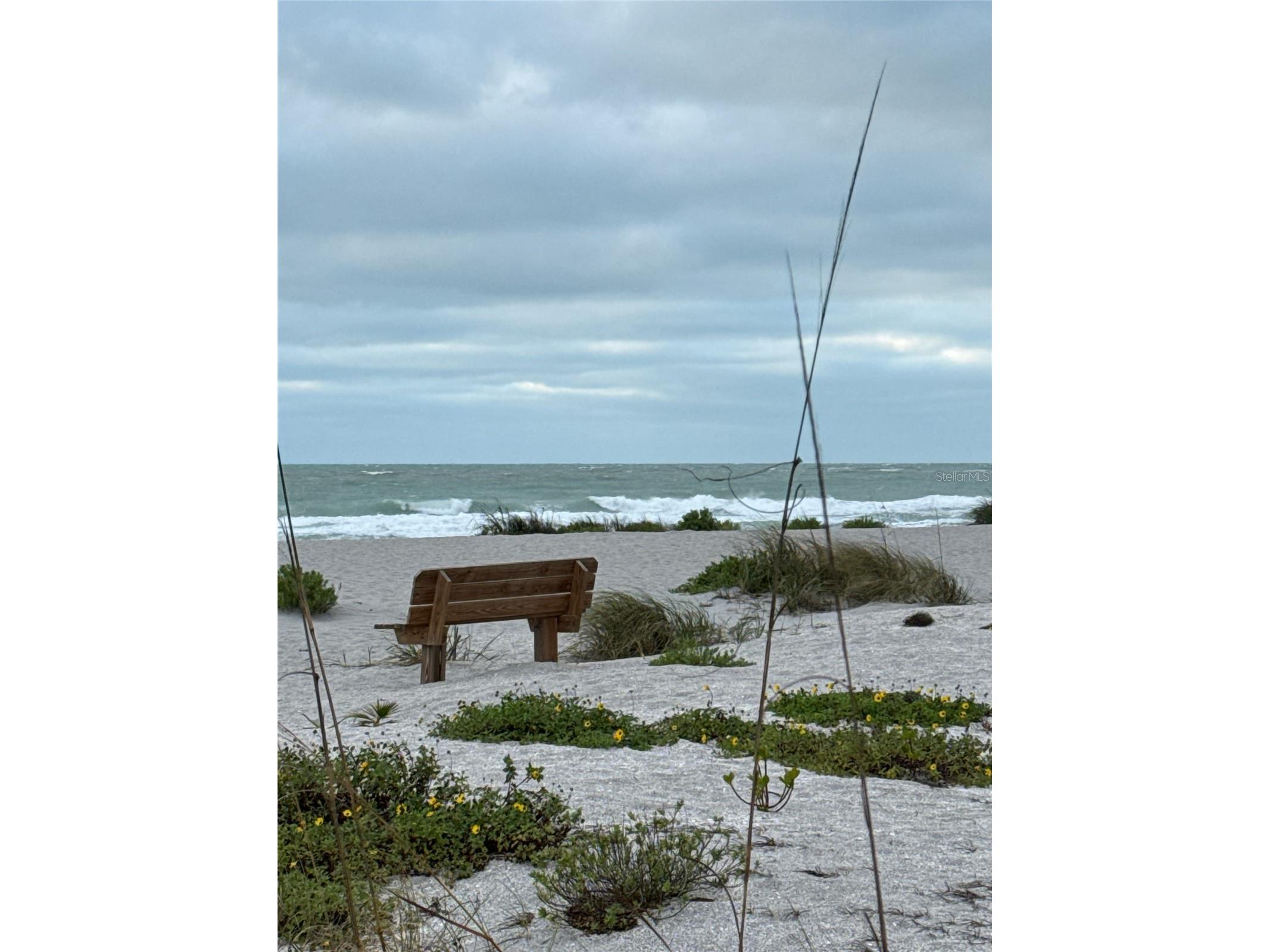 995 Laguna Drive #103 Venice FL 34285 A4695518 image39