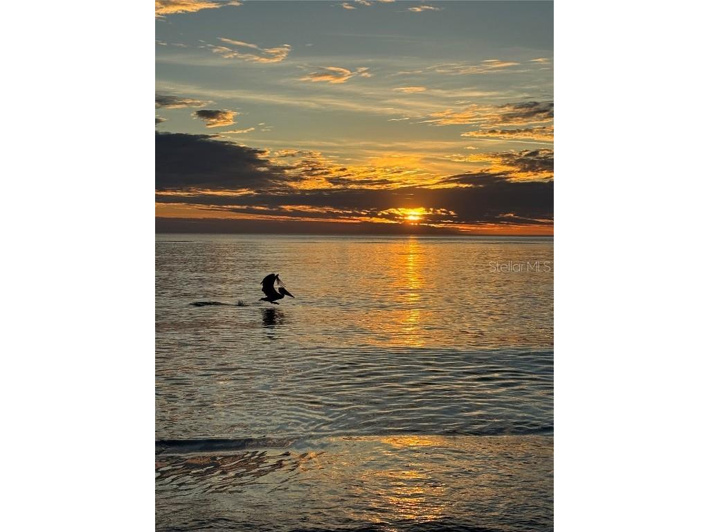 995 Laguna Drive #103 Venice FL 34285 N6141791 image65