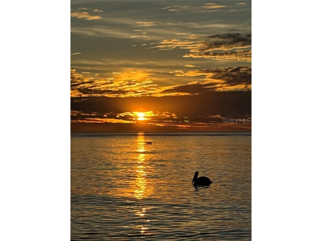 995 Laguna Drive #103 Venice FL 34285 N6141791 image66