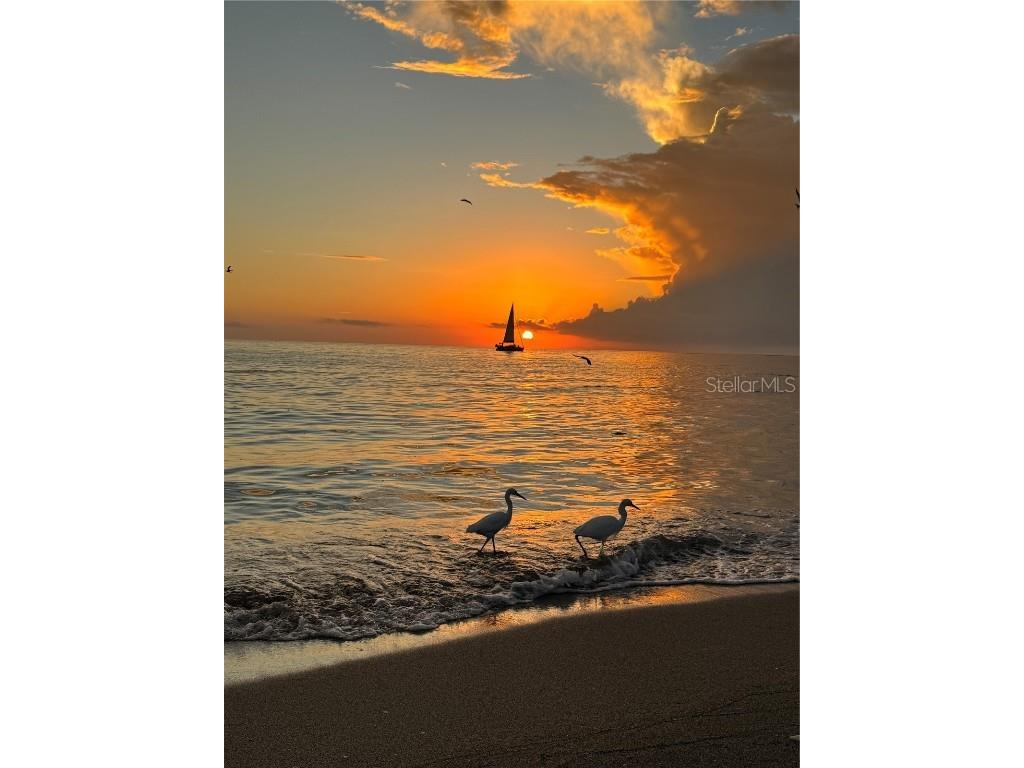 995 Laguna Drive #103 Venice FL 34285 N6141791 image67