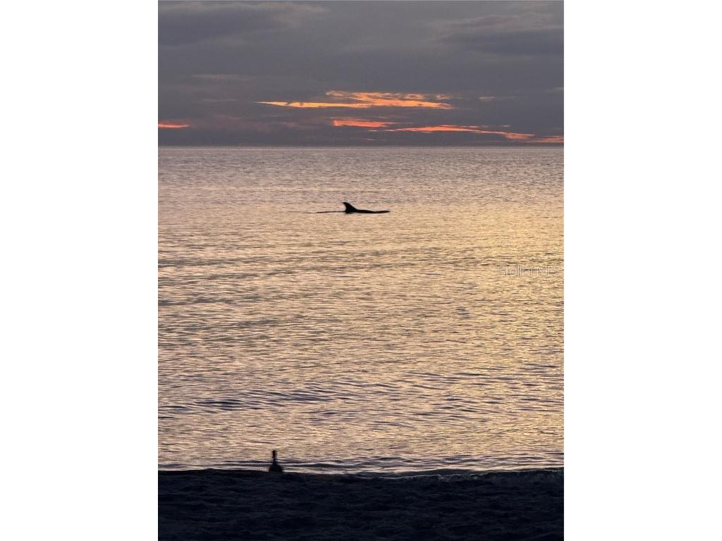 995 Laguna Drive #103 Venice FL 34285 N6141791 image68