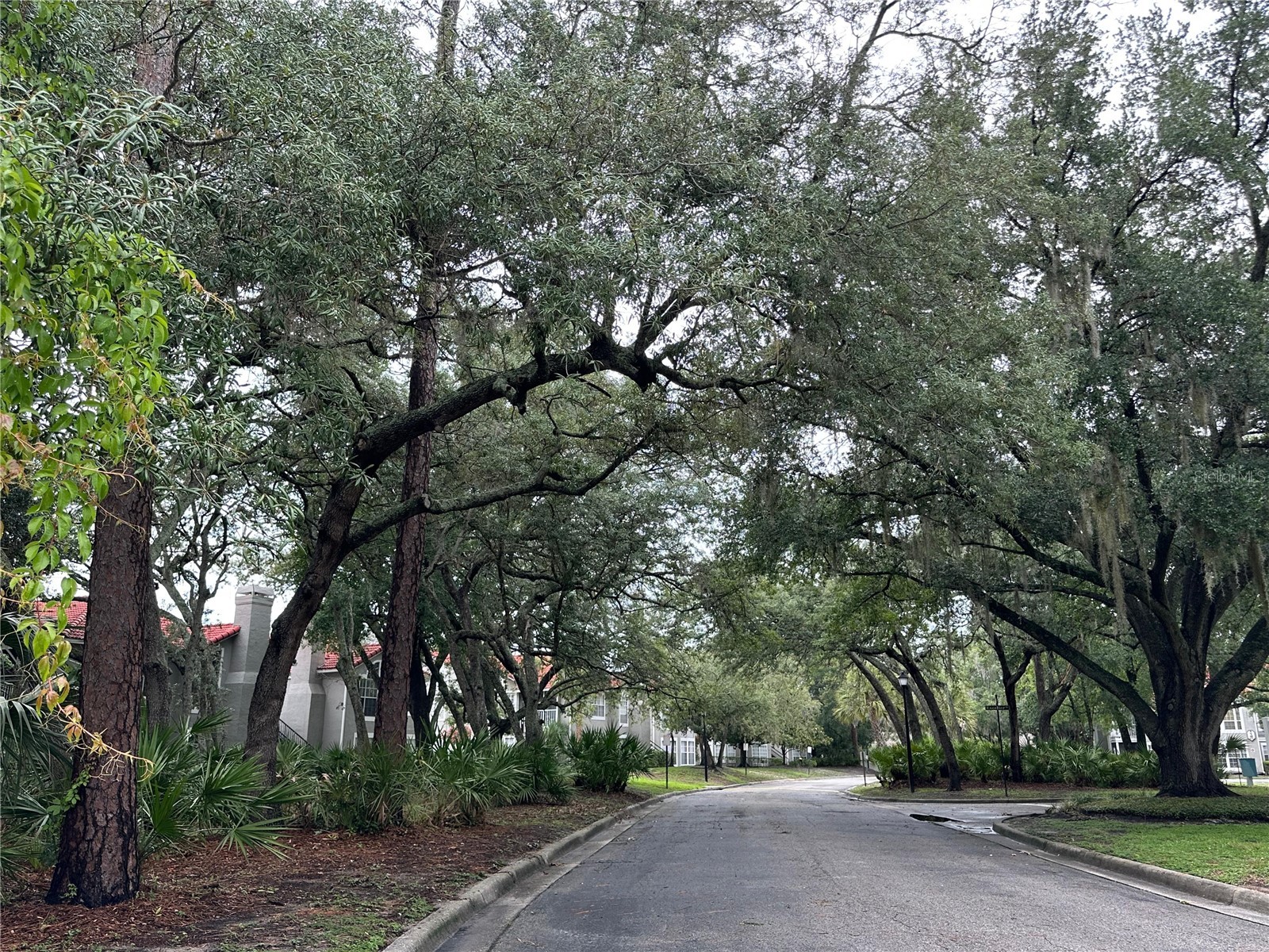995 Northern Dancer Way #201 Casselberry FL 32707 O6420003 image3