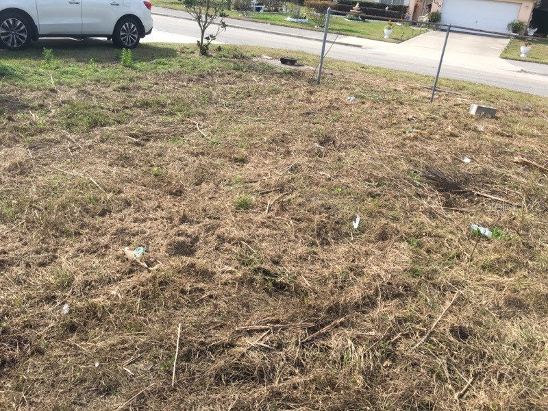 995 S Adelle Avenue Deland FL 32720 O6182373 image1